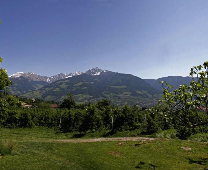 Residence Streitlhof Tirolo Extérieur photo