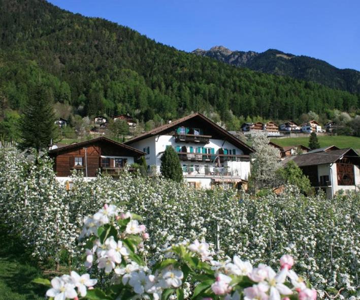 Residence Streitlhof Tirolo Extérieur photo
